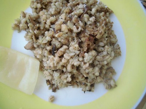Houbový Kuba — cevada e cogumelos no forno